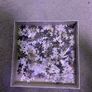 Harry Potter puzzle Image 2