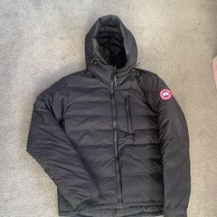 canada goose