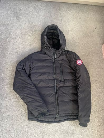canada goose