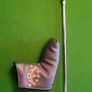putter Image 6