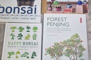 4 Bonsai Books