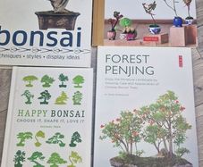 4 Bonsai Books