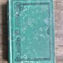 Antique Book The Flight of the Eagle by Standish O'Grady Image 2