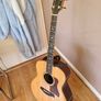 Taylor 818ce Electro Acoustic Image 4