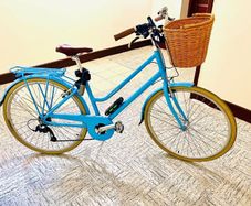 A Brand new Ryedale  Harriet adult bicycle