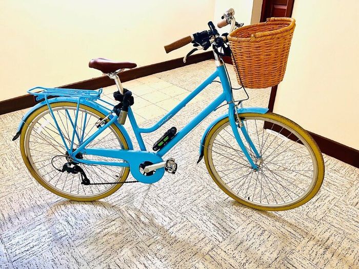A Brand new Ryedale  Harriet adult bicycle
