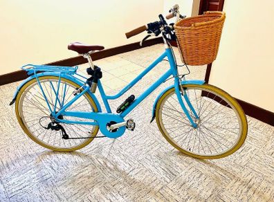 A Brand new Ryedale  Harriet adult bicycle