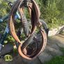 hardtail mountain bike cube reaction pro. Image 9