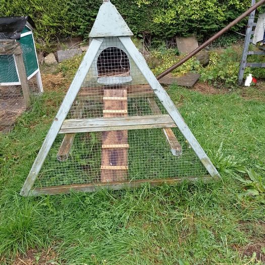 Hen house