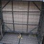 rattan Image 8