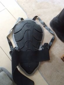 back protector