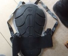 back protector