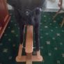 rocking horse Image 7