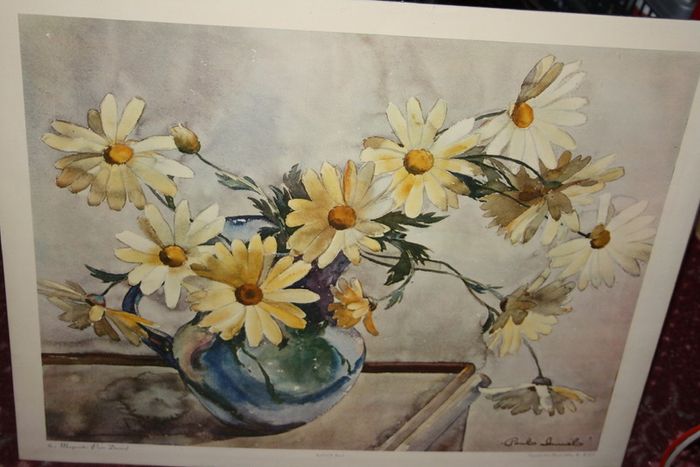 MARGUERITES (PARIS DAISIES)