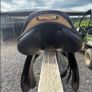 Saddle Image 4