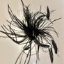 Black hairpin Image 2