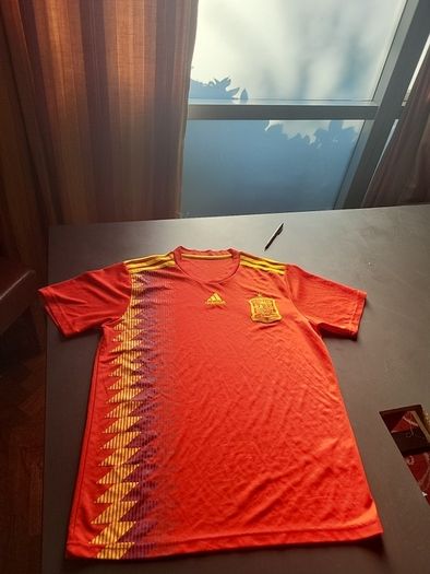 Spain jersey