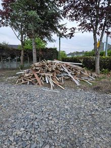FREE  Timber