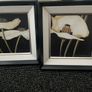 paintings and mirror Image 2