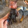 Dinosaur & animal figures Image 7