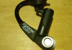 Steadicam curve