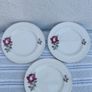 Arklow Pottery Autumn Rose Plates x 6 + 3 Image 4