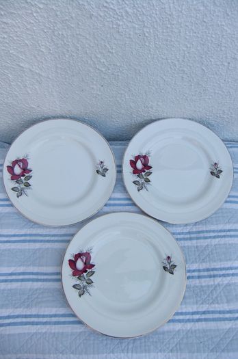 Arklow Pottery Autumn Rose Plates x 6 + 3