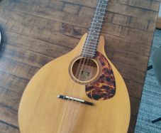 Mandolin