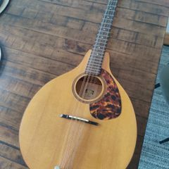 Mandolin