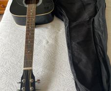 Beginner's Guitar