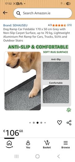 dog ramp