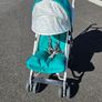 Uppababy G-Luxe Stroller Image 3