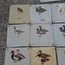 37 X Mid Century Avian Metal Display Plaques Image 5