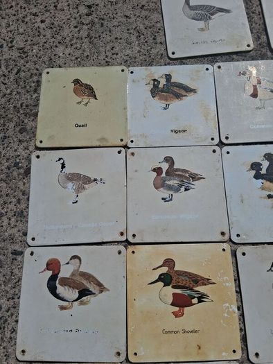 37 X Mid Century Avian Metal Display Plaques