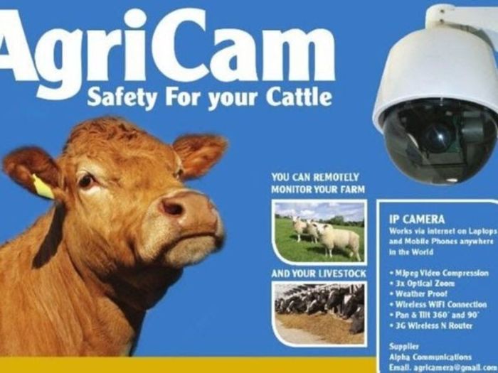 Calving, lambing Camera