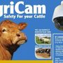Calving, lambing Camera Image 2