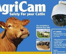 Calving, lambing Camera