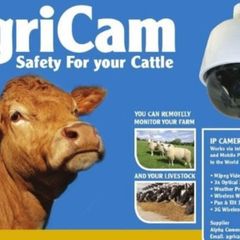 Calving, lambing Camera