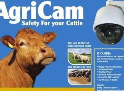 Calving, lambing Camera