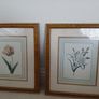 2 Vintage Framed Botanical Prints Image 5