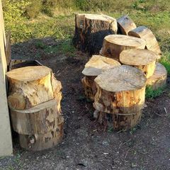 Ringed Firewood (Uncut)