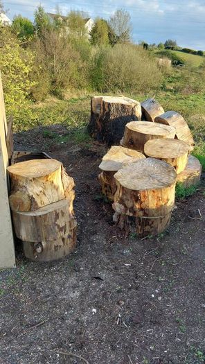 Ringed Firewood (Uncut)