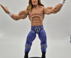 WWE HHH Triple H Summerslam Elite Wrestling Figure