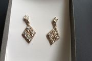 silver earrings