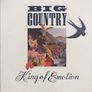 Big Country 7" Vintage Cut Vinyl Record "First Pressing" 1988 Hard To Acquire Rare ! Image 2