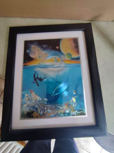 Lovely Framed Print Of Dolphin Sea Life Marine.