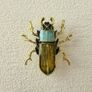 Beetle Brooch Pin Image 2