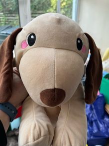 Super Soft Sausage Dog Teddy