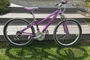 Cuda Kinetic kids bike