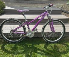 Cuda Kinetic kids bike